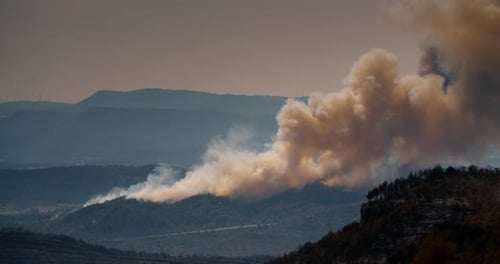 Lauffeuer Starker Rauch über Wald und Bergen im Sommer