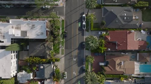 Von oben nach unten geschwenkte Aufnahmen von Gebäuden entlang der Straße in der von tropischen Palmen gesäumten Urban Borough Road