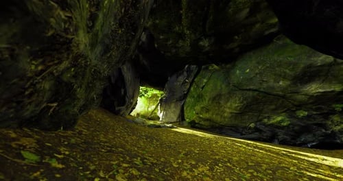 Exploring a Hidden Cave Surrounded By Lush Greenery in Vibrant Sunlight