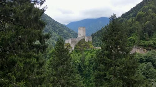 Historical Castle In The Forest