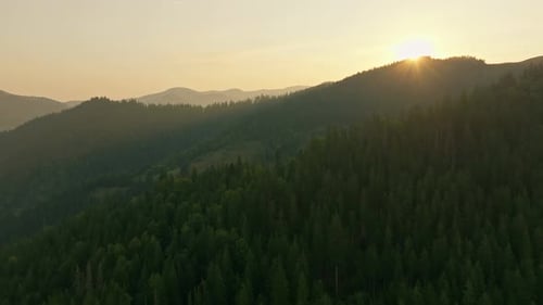 Forest Nature Mountains Dawn Sunrise Landscape Morning Beautiful