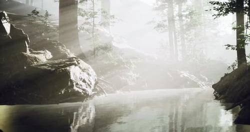 Misty Morning Tranquility By the Serene River in a Dense Forest Landscape