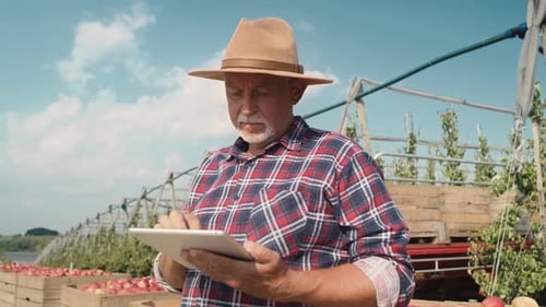 Senior farmer using digital tablet while standing on apple farm. Shot with RED helium camera in 8K.