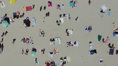 The people in the beach aerial
