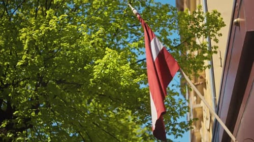 The Latvian Flag is Gently Flowing in the Soft Breeze Surrounded By Vibrant Lush Greenery and