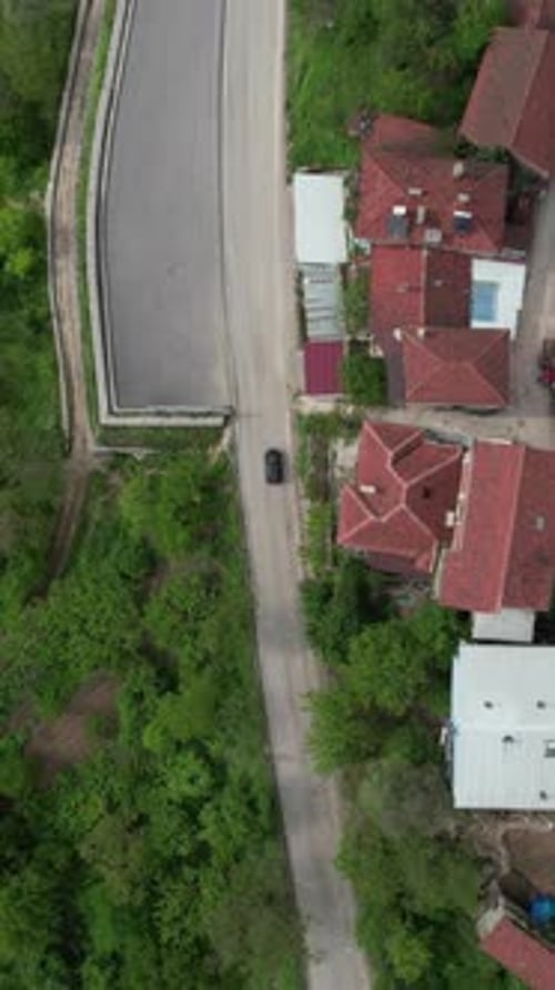 Asphalt Road In Green Forest