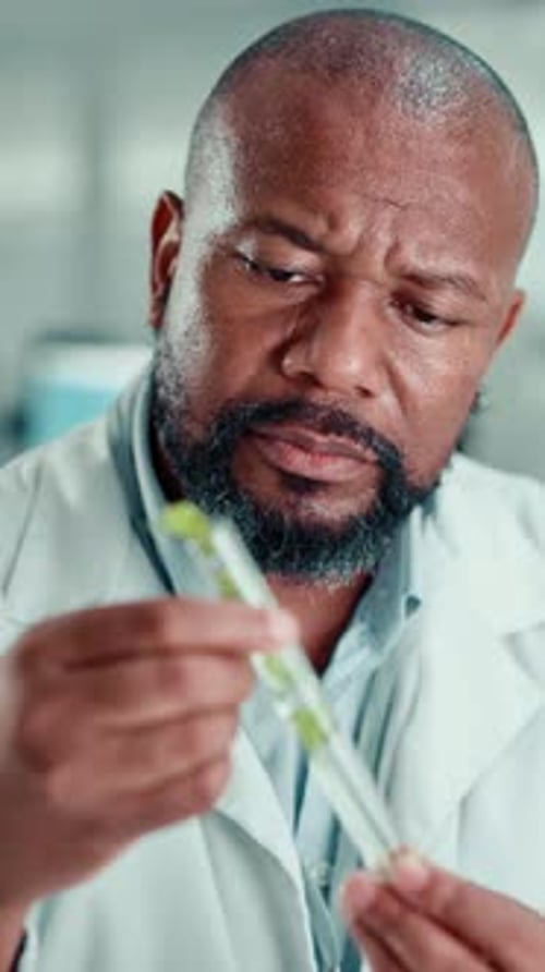 Chemist, black man and plant with test tube in laboratory for botany, medical research