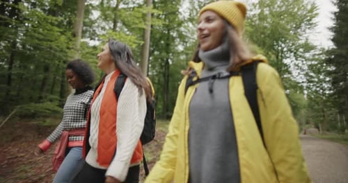 Smiling Friends Hiking in the Woods