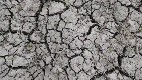 Poor soil in Egypt- top view - fast motion