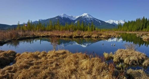Reflexões pacíficas de lagos montanhosos sob picos cobertos de neve e pinheiros