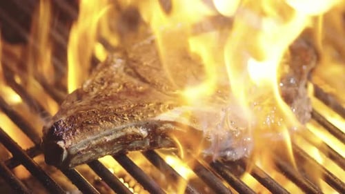 Grilled Meat on Grill with Fire Roast Meat Grilled with Fire Flames Beef Steak on Grill Meat Steaks