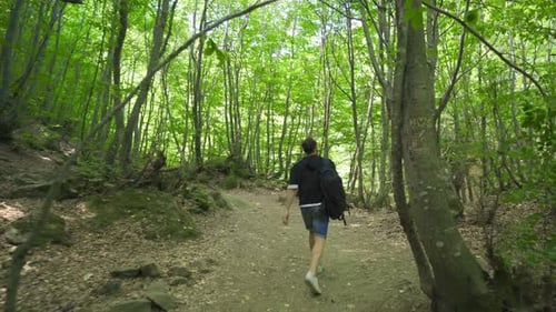 Reisender Abenteurer zu Fuß in einem unbekannten Wald.