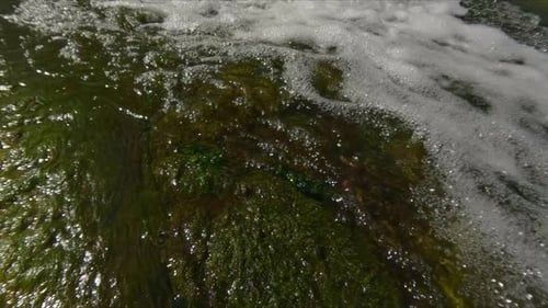 grüne Fadenalgen in der Küstenzone, die sich einem schnell fließenden Flussbach nähern, Superzeitlupe