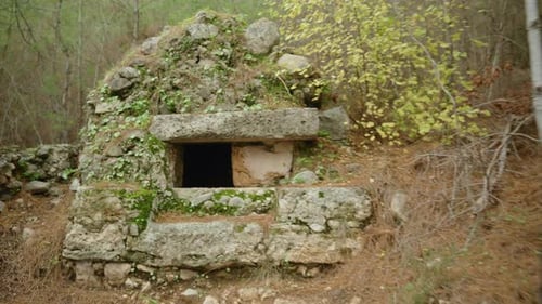 Exploring ancient structures in the forest. Peering into the window of a stone tomb.