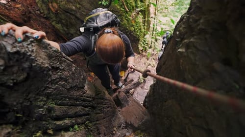 Female Traveler Exploring a Tropical Forest