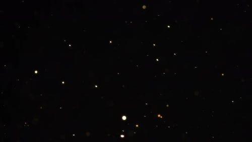 Golden Particles Floating on Dark Background