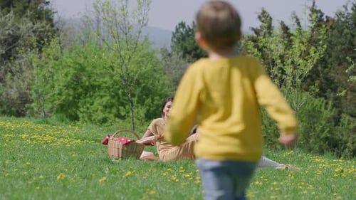 Family Picnic on Sunny Day in Meadow
