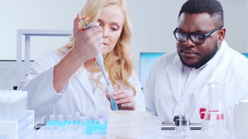 Scientists Working Together on Experiments in Laboratory