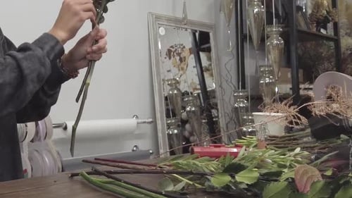 Flower Shop – Girl Florist Making a Bouquet.