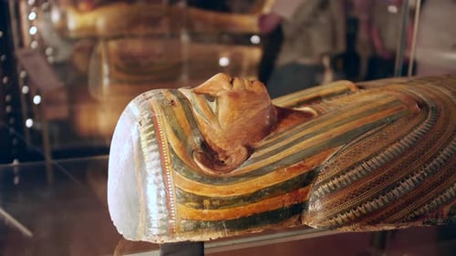 An Egyptian mummy Sarcophagus on display in a museum glass cabinet