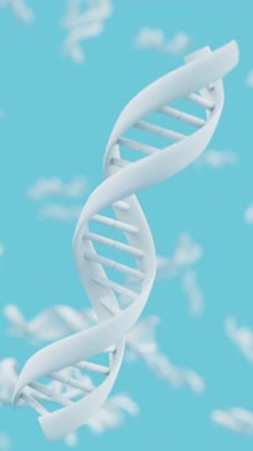 White DNA Double Helix Strand Rotates on Blue Background Loop Animation Science and Biotechnology