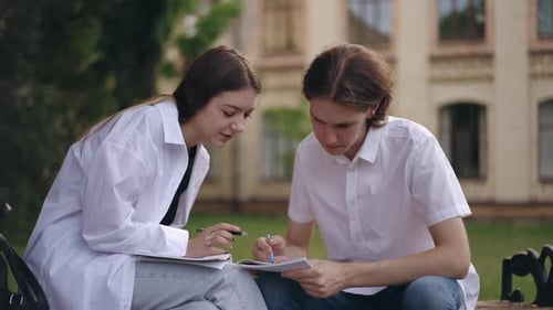 A Young Couple of Students is Studying and Discussing an Assignment While Sitting on a Bench on a