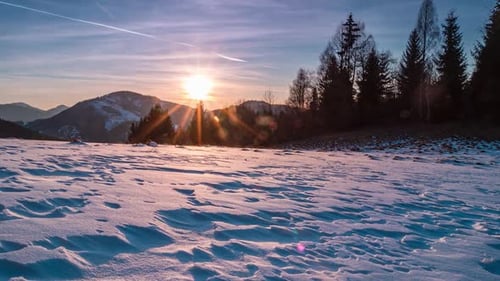 Beautiful Sunset Forest Winter Nature