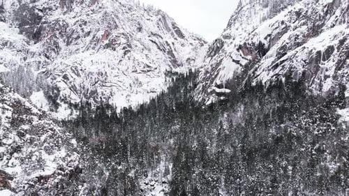 Aerial shot of snow-covered forest valley surrounded by rugged glacial mountains