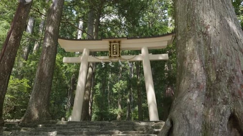Porte Torii dans une forêt avec des escaliers en pierre qui y mènent à Kumano Nachi Taisha, Wakayama, Japon.