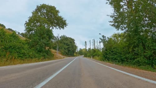 Driving Rural Road Through Verdant Green Landscape