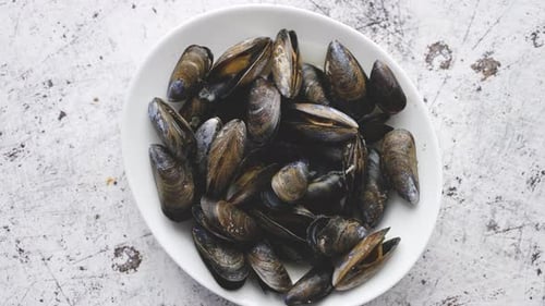 Fresh Mussels Displayed on a White Plate