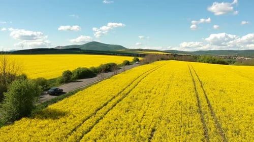 Cars on a country road between rapeseed plantations with hills and a small town in the background