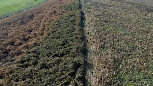 Runners running in the dirt road