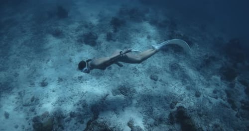 Woman Freediver Glides on Deep in Tropical Blue Sea Freediver Girl Swims Underwater