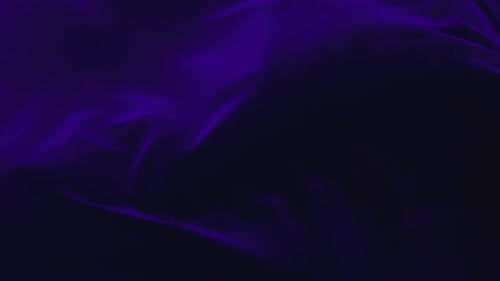 Elegant Fluid Digital Wave Background Reveal