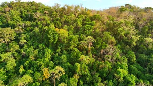 Majestic tropical forest on towering mountains by aerial view drone.