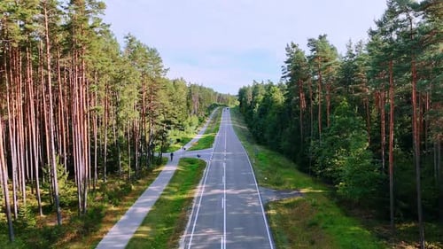 A highway runs straight through a dense forest. Tall trees line both sides of the road.
