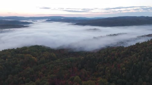 misty foggy forest landscape aerial view at sunset ,drone above sea of clouds in nature