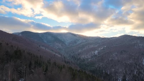 Winter Landscape with Spruse Trees of Snow Covered Forest in Cold Mountains at Sunset