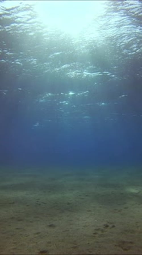 Les rayons du soleil pénètrent à la surface de l'eau bleue, les reflets du soleil tombent sur le fond sableux