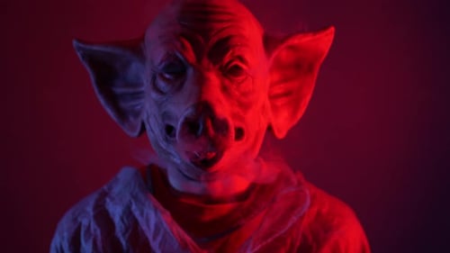 Pig Mask Creature with Smoke Comes Stand in Font of Camera