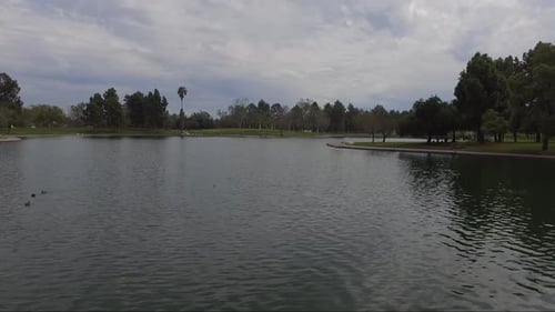Flug über Park und Teich.
