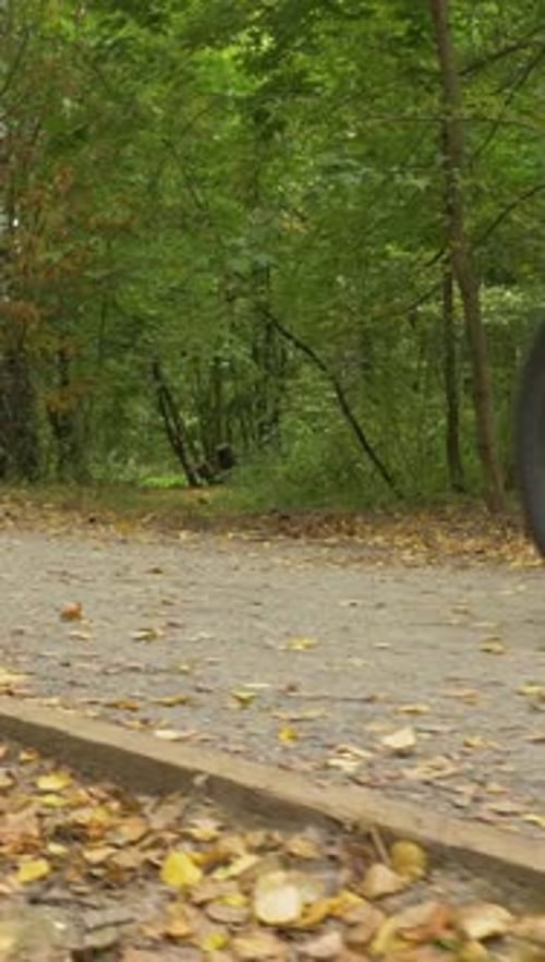 Young Caucasian Woman is Riding Bicycle on Trail in the Park in Autumn Vertical Video