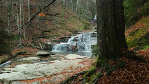 Small mountain stream cascading over rocky ledges surrounded by an autumn forest with fallen leaves