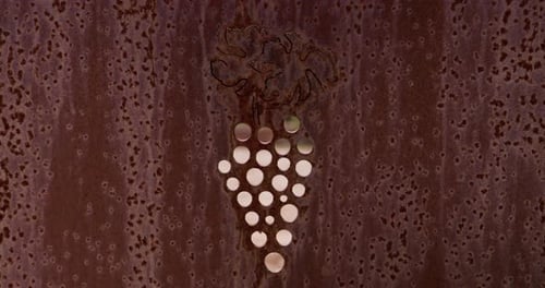 Abstrakte Silhouettenkunst aus Weinflaschen und Glas mit Spritzmustern auf Holzgrund
