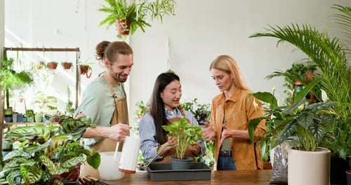 People Gardening with Plants in a Bright Room