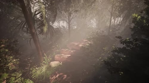 Enchanted Forest Path with Sunlight Rays