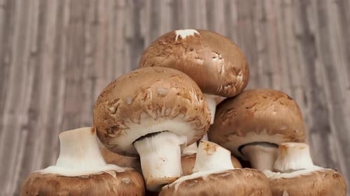 Close Up of Stacked Brown Cap Mushrooms