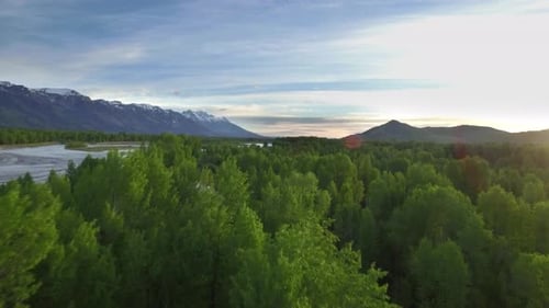 Drone View From Tree Tops of Mountains and River Above