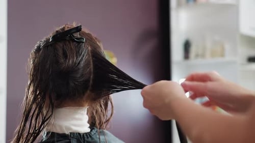Hairdresser Combing Wet Hair Sections in Salon